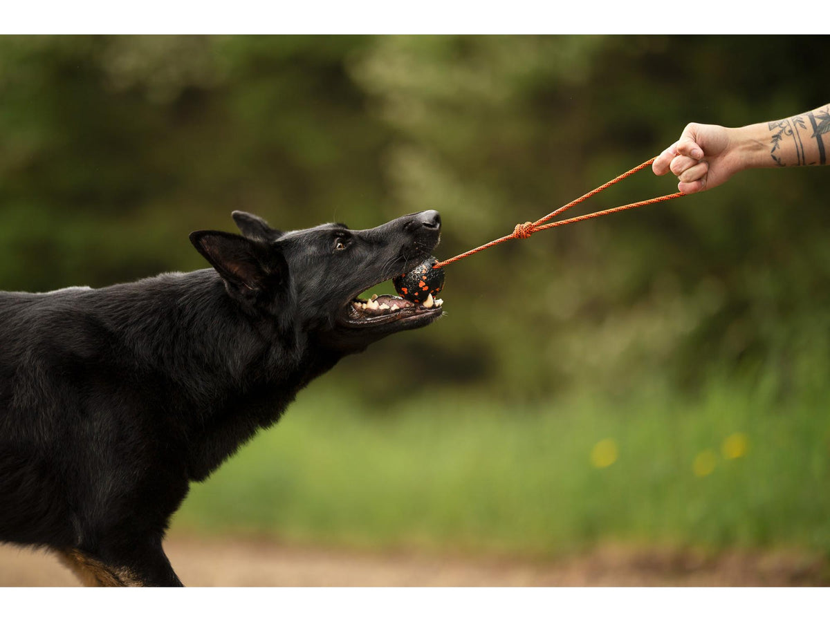 Non-stop dogwear Dog ball on rope ball med tau – Oransje/svart