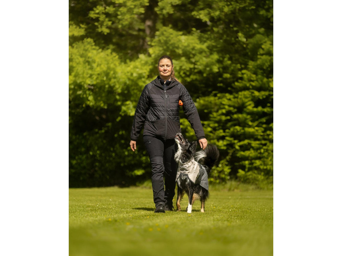 Non-stop dogwear Dog ball hundeball – Oransje/svart