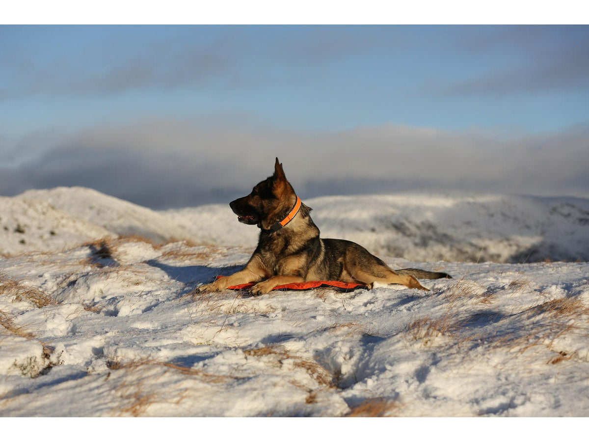 Non-stop dogwear Protector bivvy bed liggeunderlag – Oransje