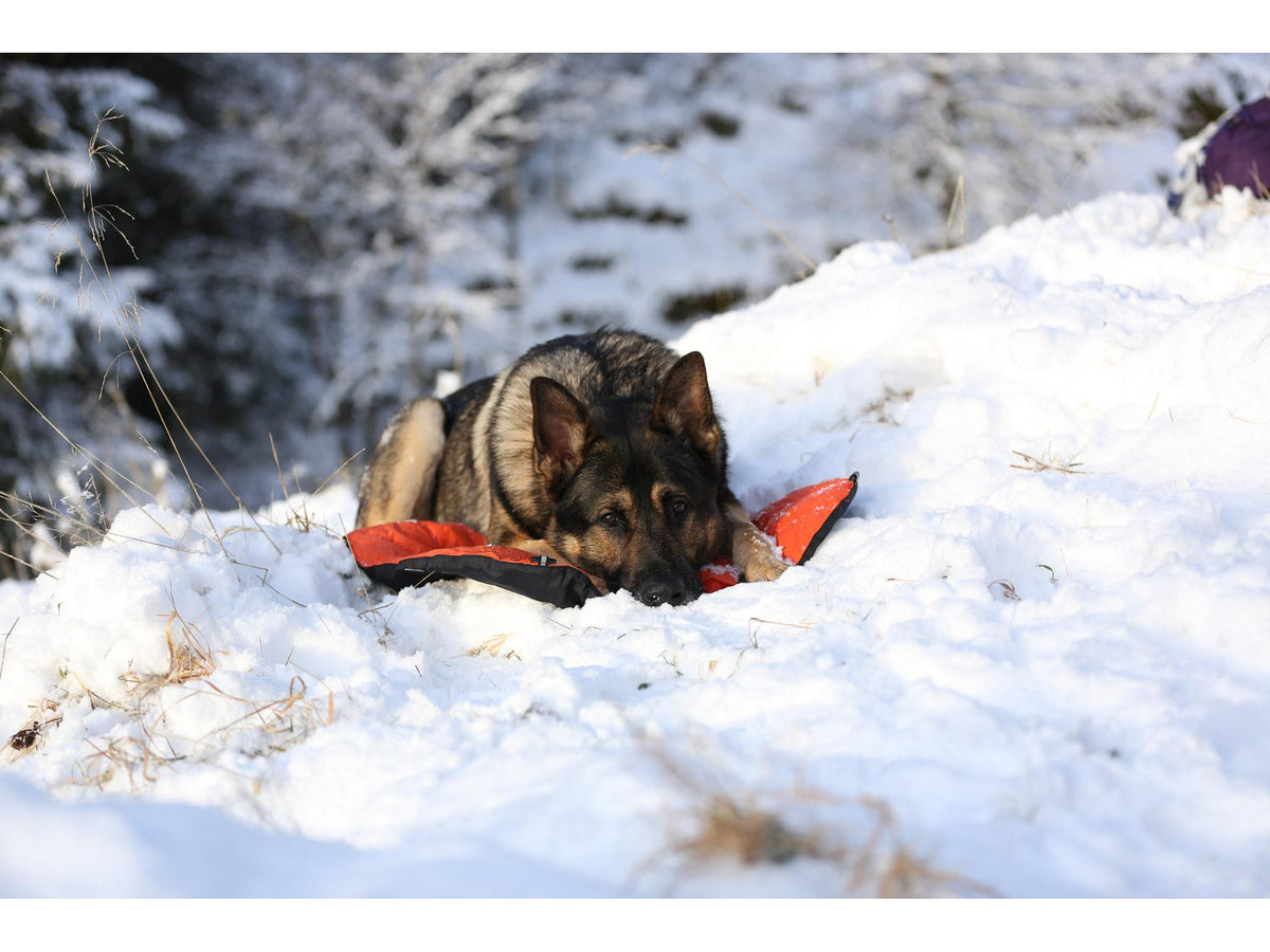 Non-stop dogwear Protector bivvy bed liggeunderlag – Oransje