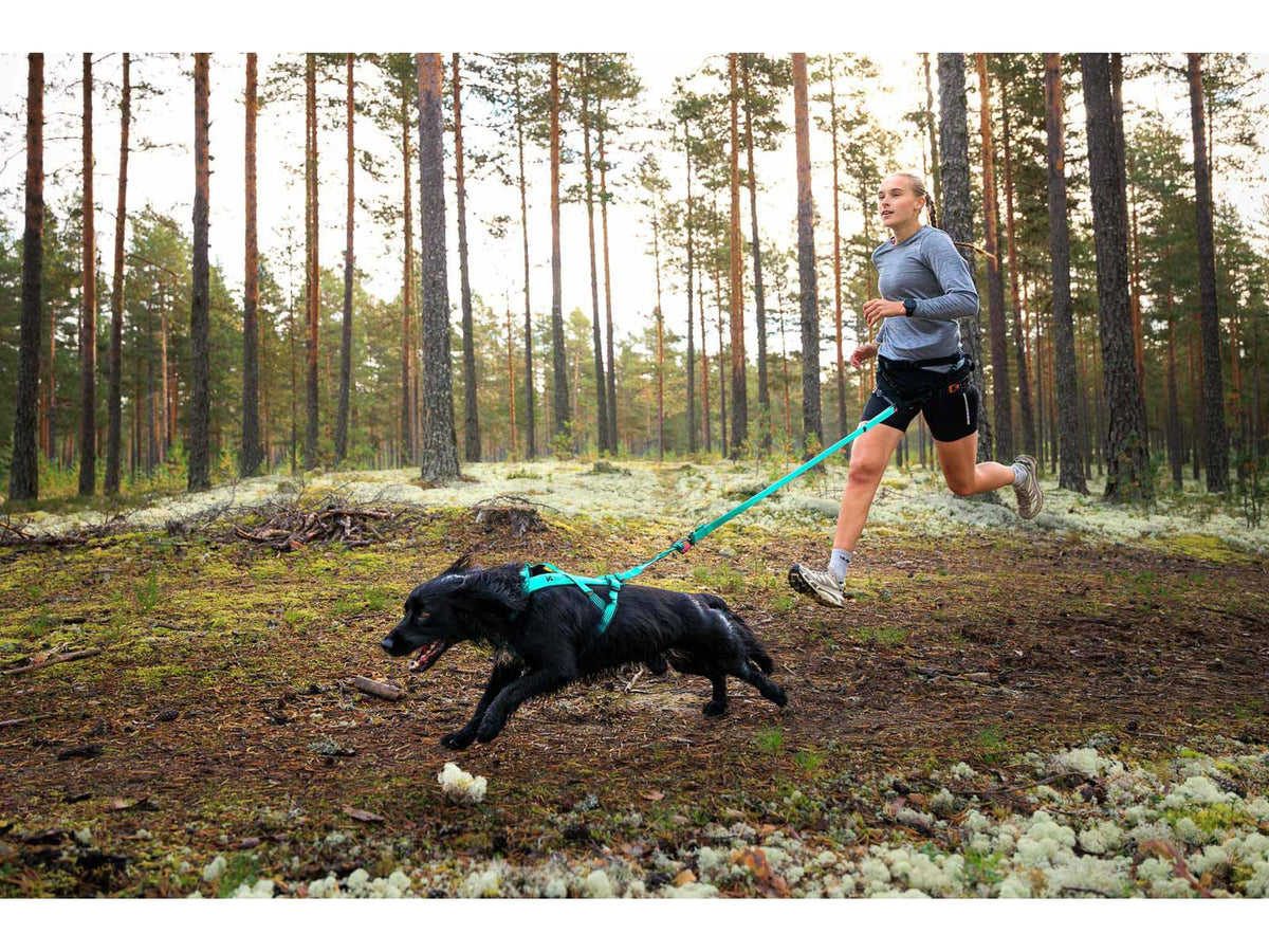 Non-stop dogwear Bungee leash kjørestrikk – Isblå – modellen vist i annen farge