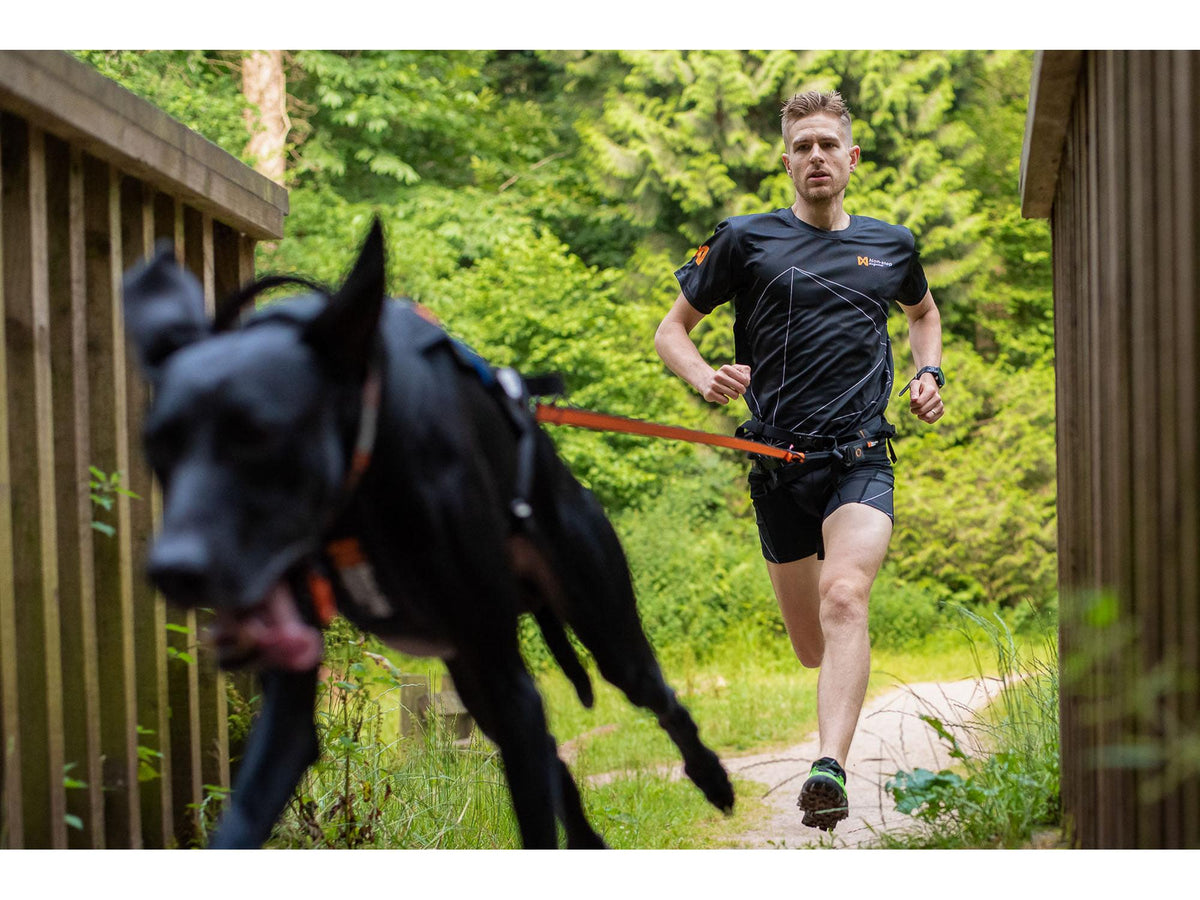 Non-stop dogwear Bungee leash Ltd kjørestrikk – Blå – modellen vist i annen farge