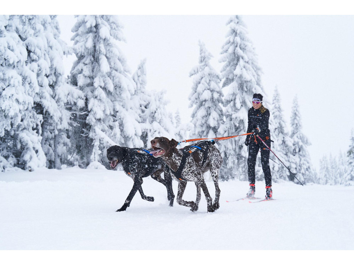 Non-stop dogwear Bungee leash double kjørestrikk for to hunder – Svart/oransje