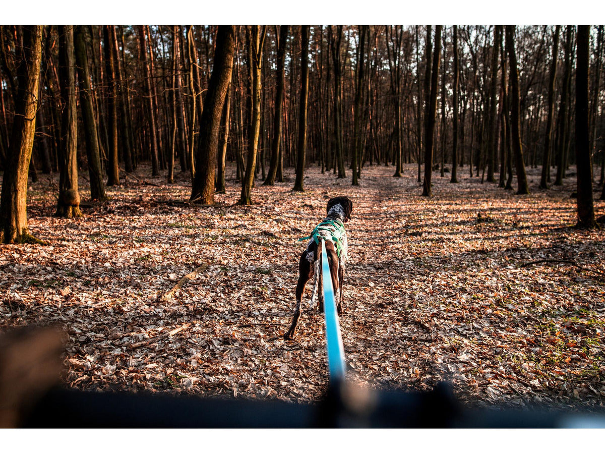 Non-stop dogwear Bungee leash kjørestrikk – Aqua – modellen vist i annen farge
