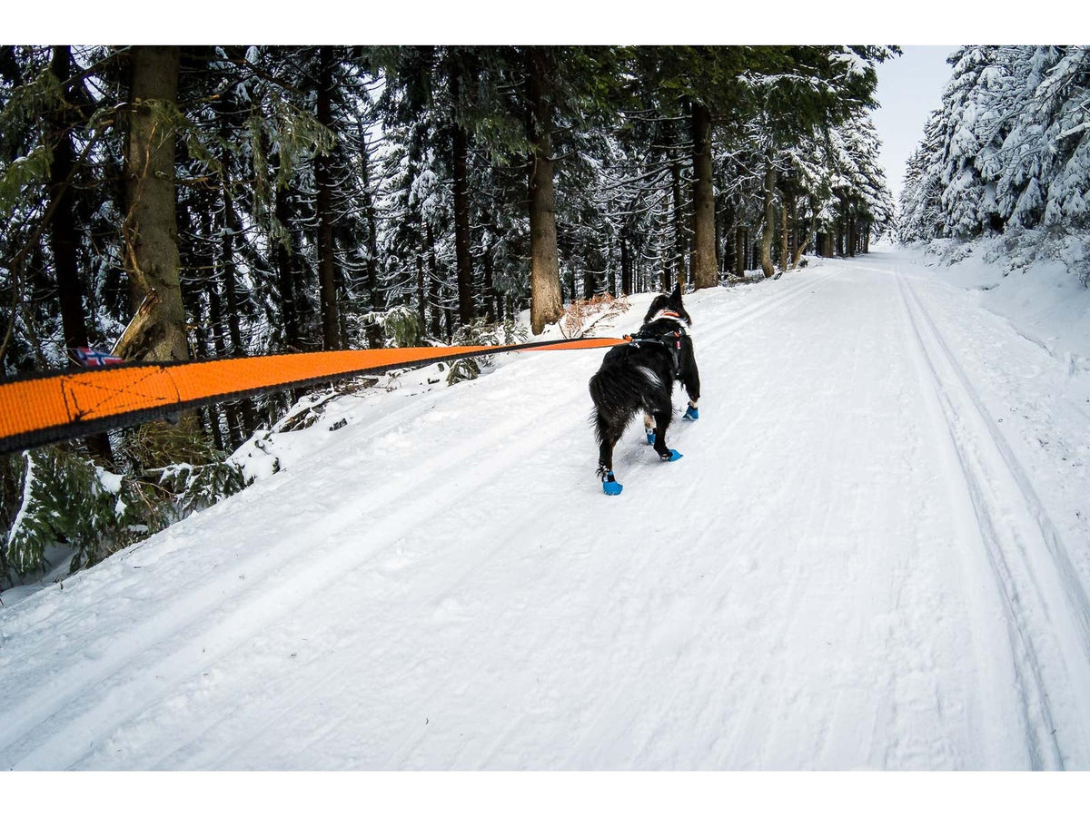 Non-stop dogwear Bungee leash Ltd kjørestrikk – Blå – modellen vist i annen farge