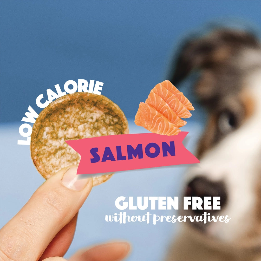 Smoofl Dog Chips Laks 50 g – Kaloriefattig hundesnacks