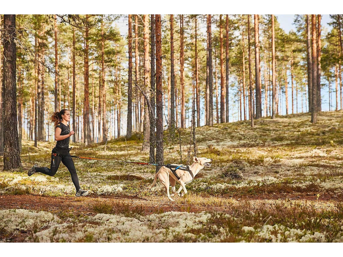 Non-stop dogwear CaniX belt løpebelte – Svart