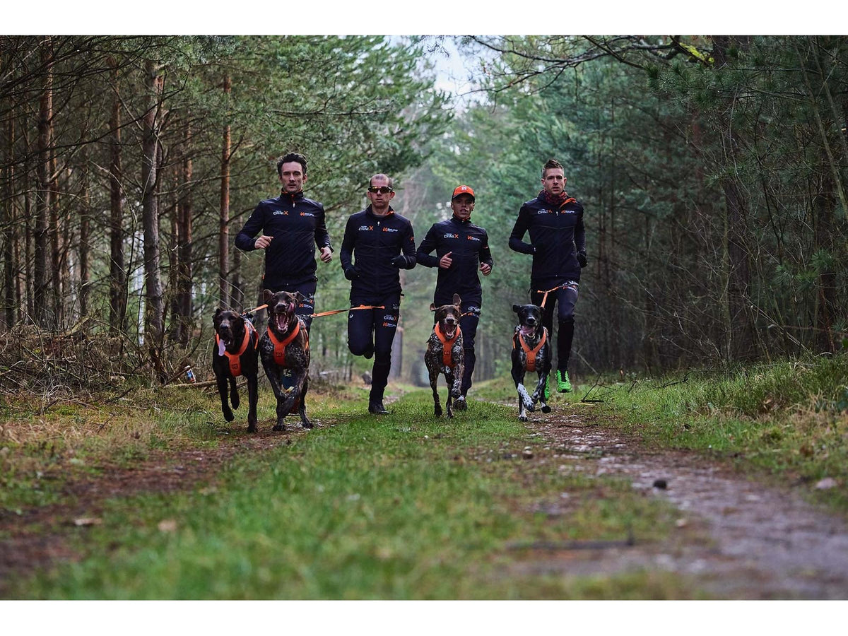 Non-stop dogwear CaniX belt pro løpebelte – Svart