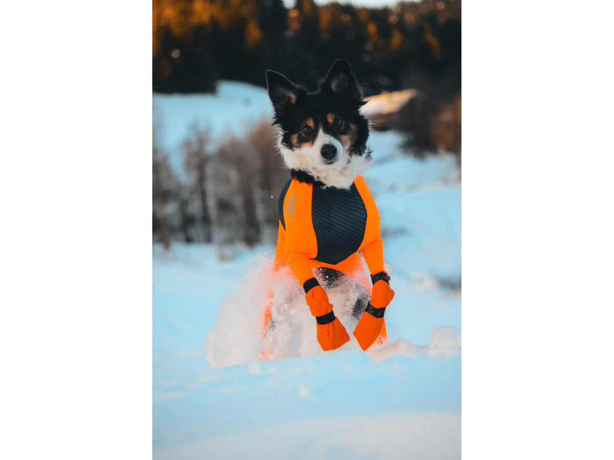 Non-stop dogwear Contact bootie high potesokker – Oransje