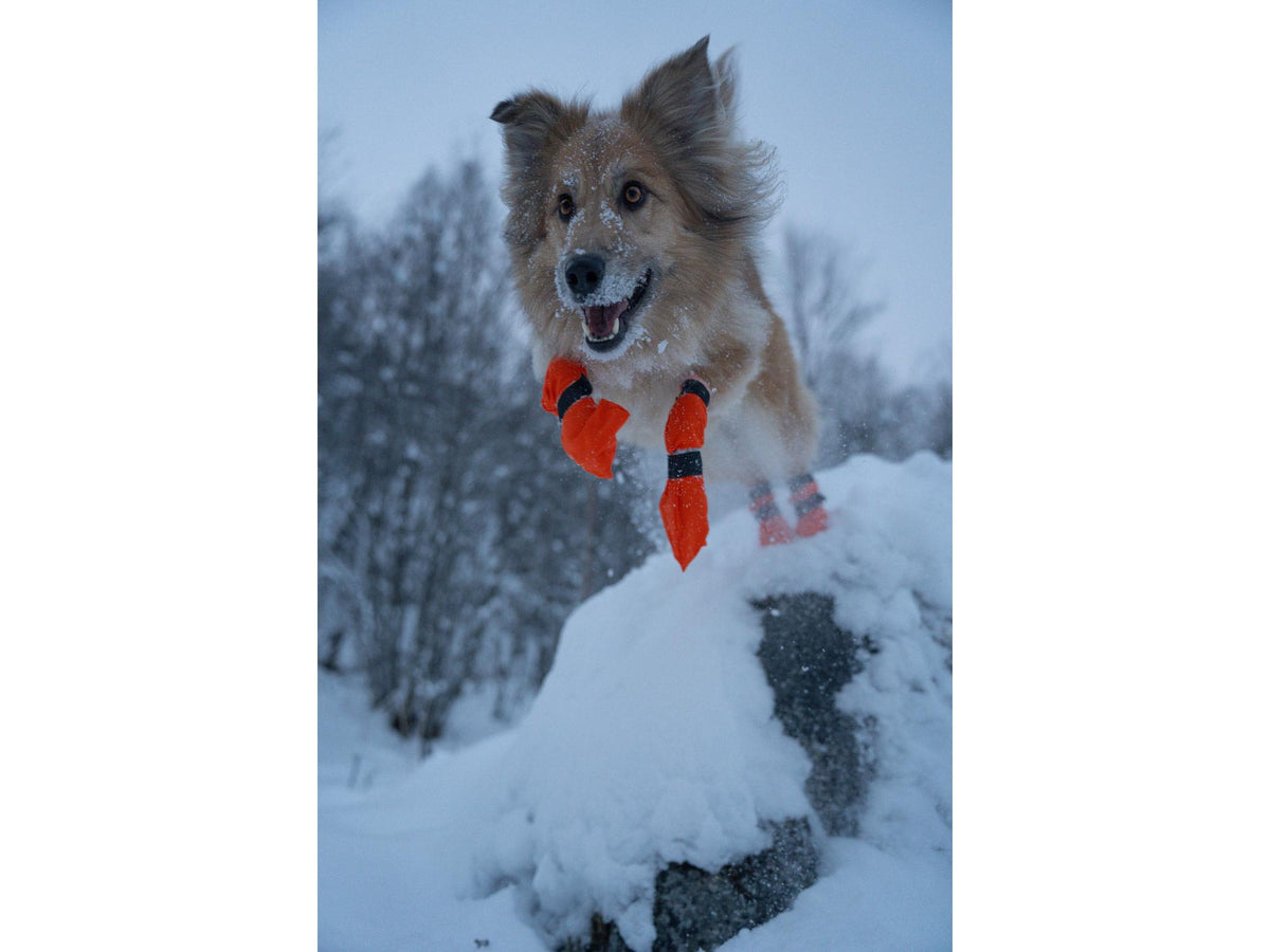 Non-stop dogwear Contact bootie high potesokker – Oransje
