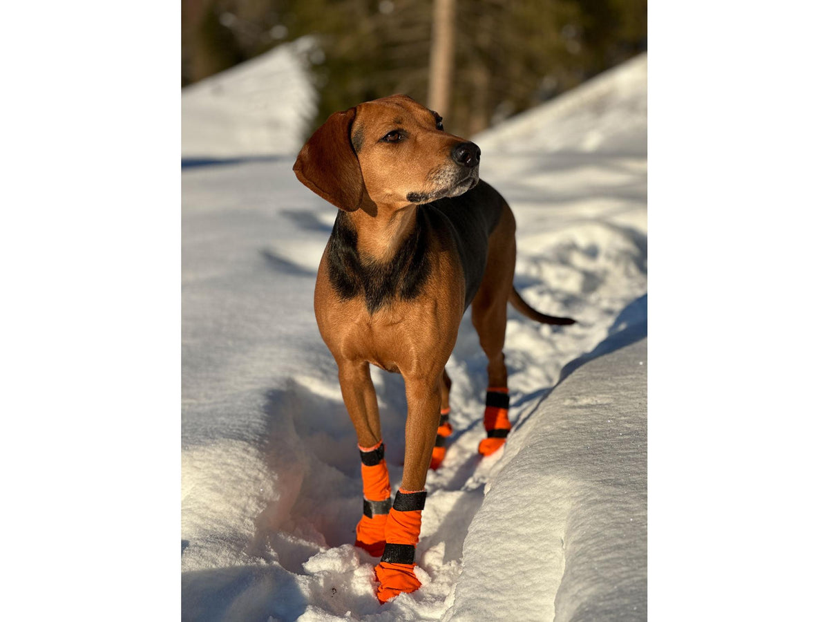 Non-stop dogwear Contact bootie high potesokker – Oransje