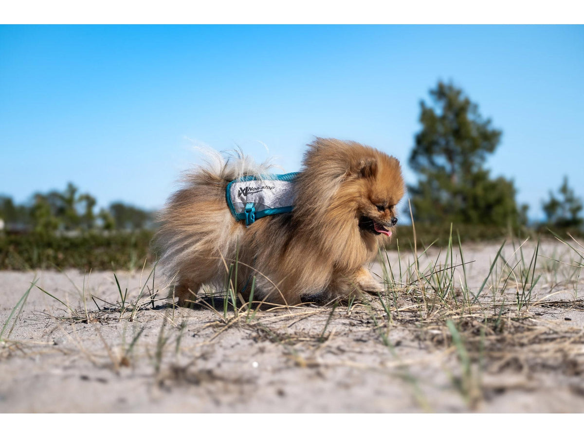 Non-stop dogwear Cooling vest kjølevest – Lysegrå/teal