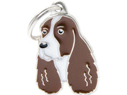 Springer Spaniel