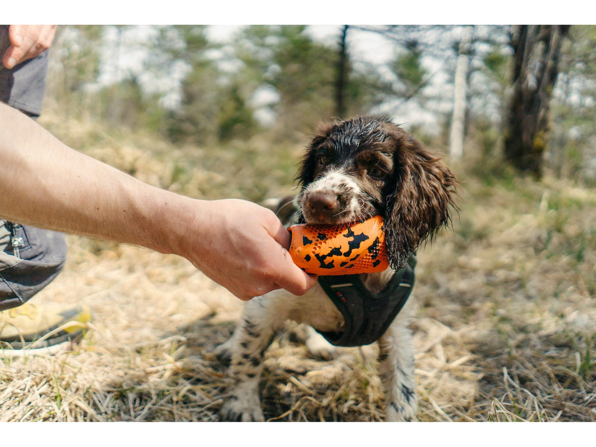 Non-stop dogwear Dog throw toy kasteleke – Oransje/svart