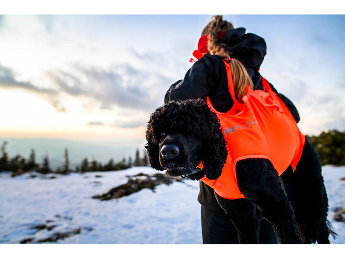 Non-stop dogwear Dog rescue sling redningsbåre – Oransje