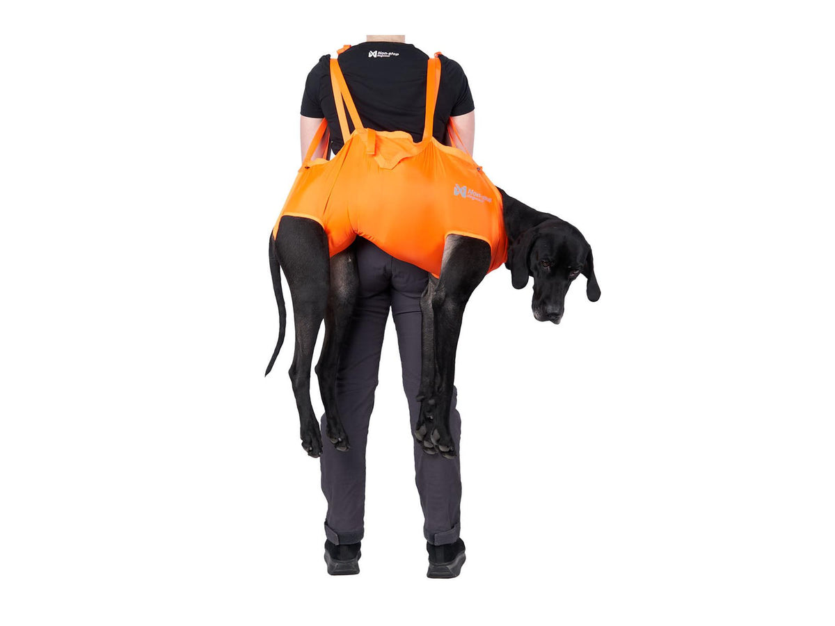 Non-stop dogwear Dog rescue sling redningsbåre – Oransje