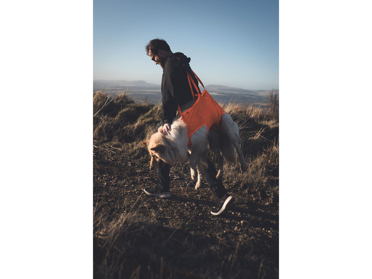 Non-stop dogwear Dog rescue sling redningsbåre – Oransje