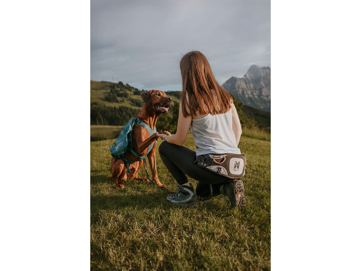 Non-stop dogwear Explore belt trekkbelte – Sand