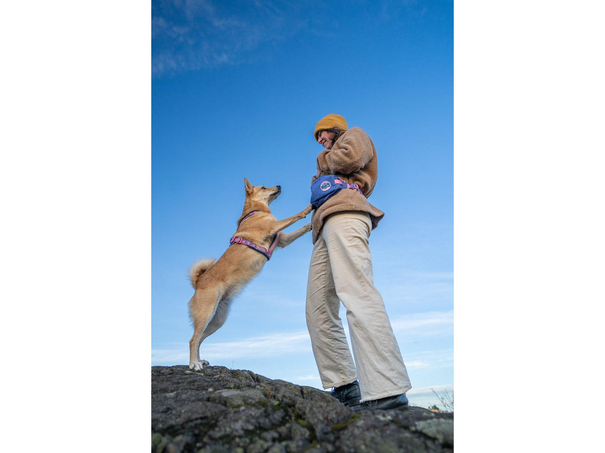 Non-stop dogwear Trail quest fanny pack RP signature edition – Teal/eik – modellen vist i annen farge