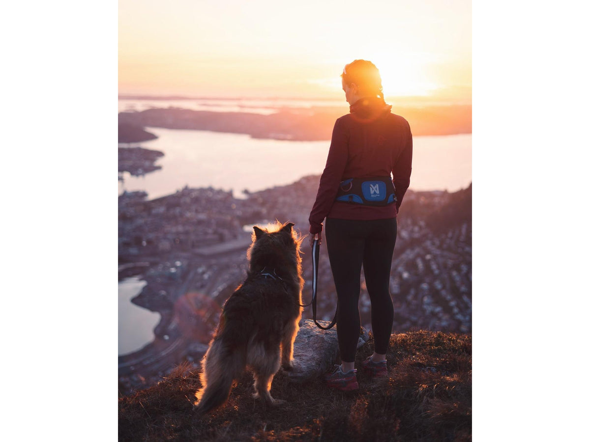 Non-stop dogwear Ferd belt trekkbelte – Blå