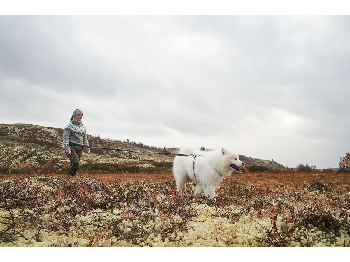 Non-stop dogwear Ferd belt trekkbelte – Blå