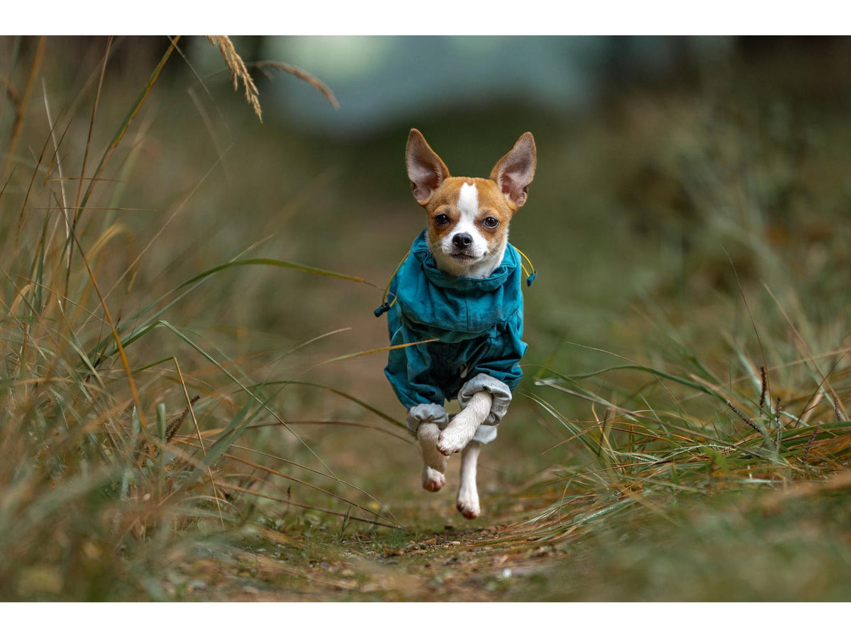 Non-stop dogwear Fjord overall raincoat regndress – Teal