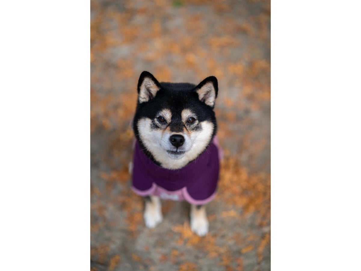 Non-stop dogwear Fjord raincoat 2.0 regndekke – Mauve