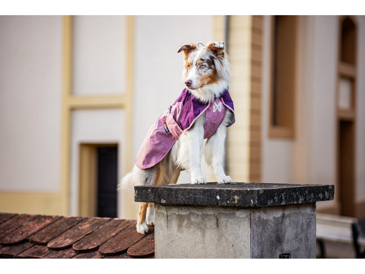 Non-stop dogwear Fjord raincoat 2.0 regndekke – Mauve