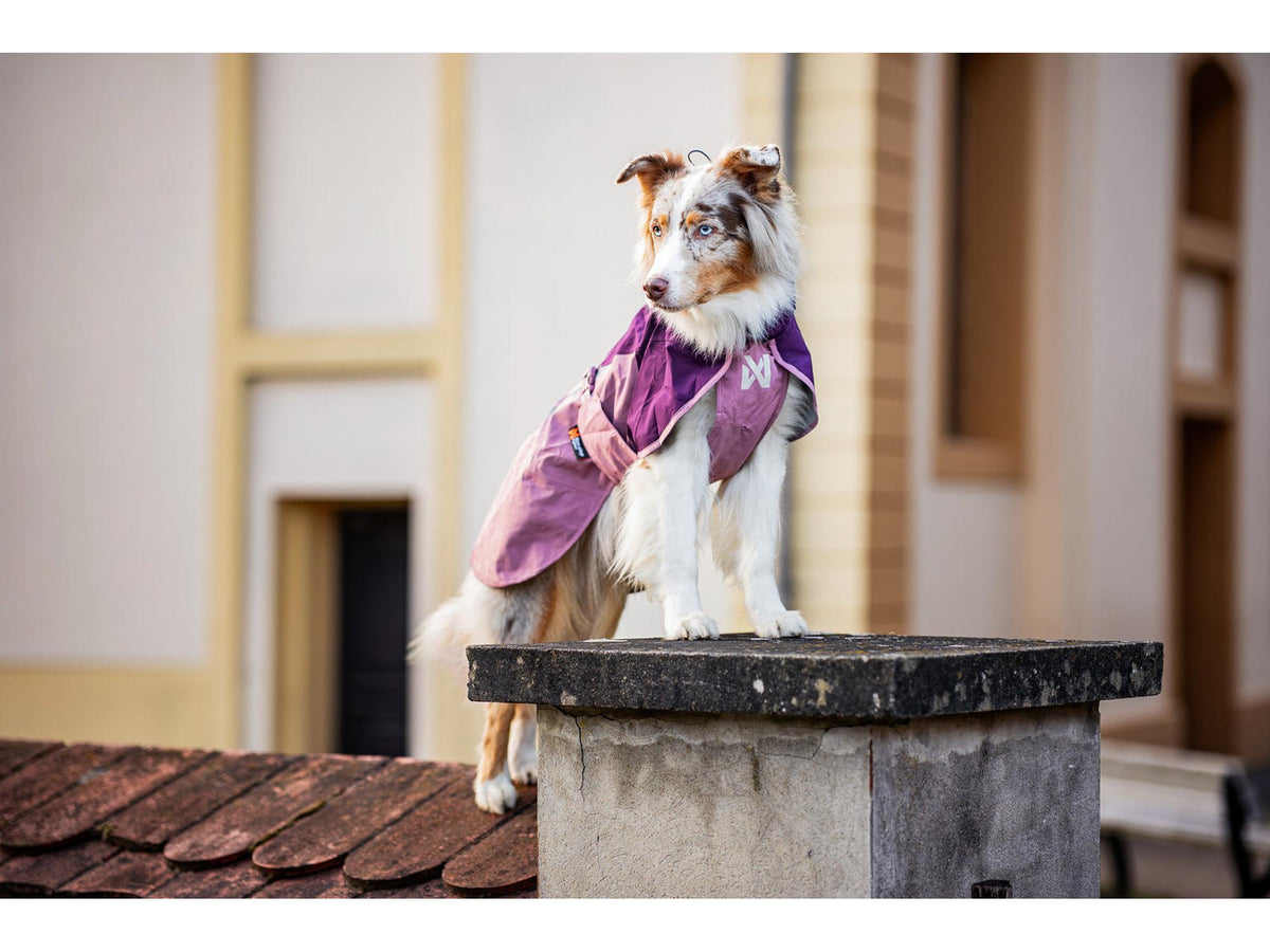 Non-stop dogwear Fjord raincoat 2.0 regndekke – Svart/oransje – modellen vist i annen farge