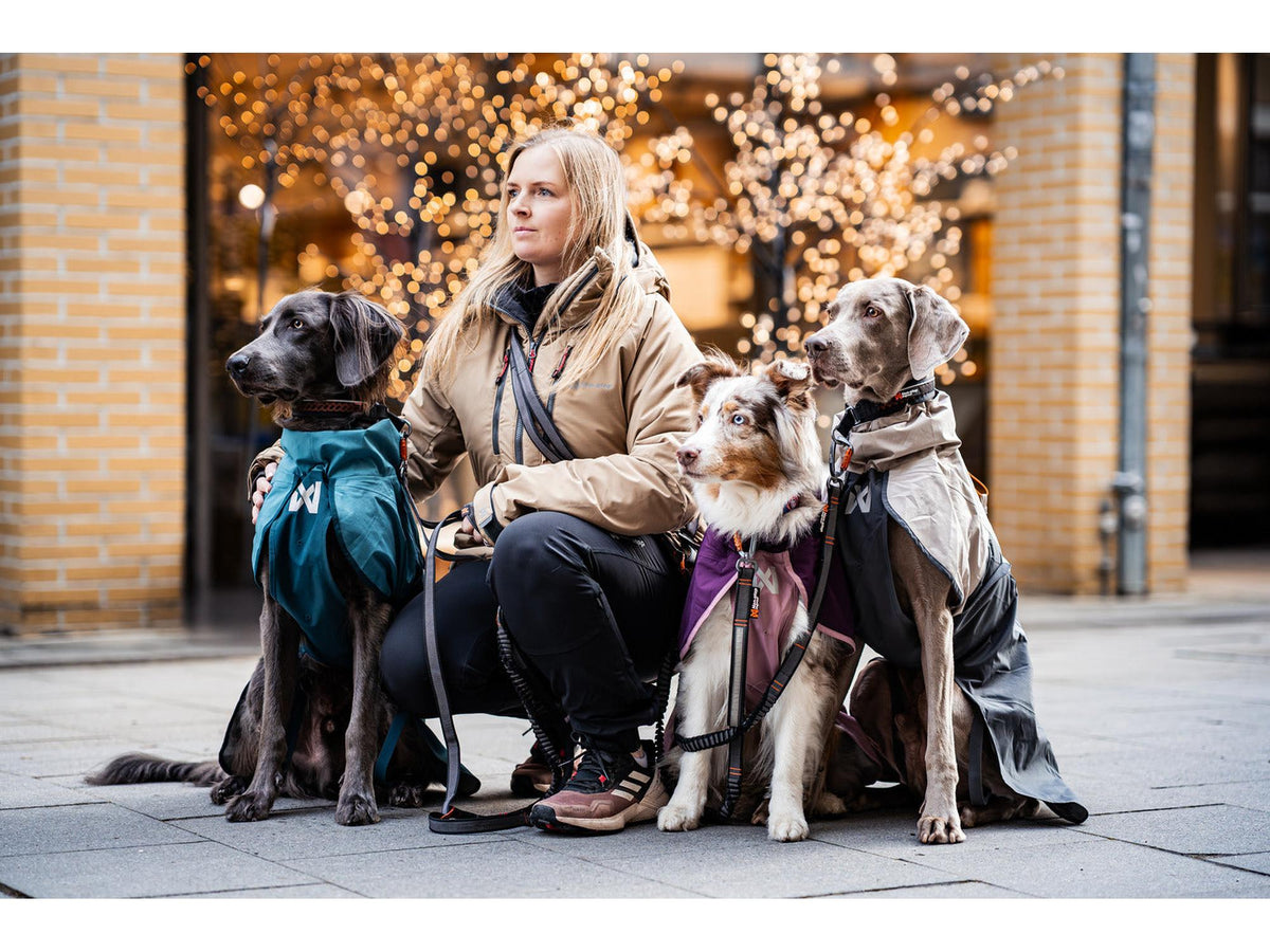 Non-stop dogwear Fjord raincoat 2.0 regndekke – Teal