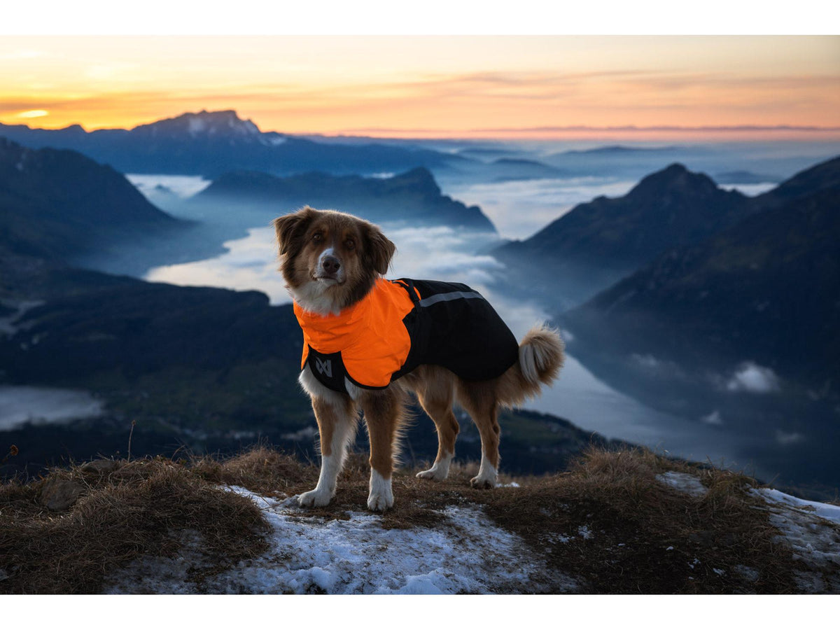 Non-stop dogwear Fjord raincoat 2.0 regndekke – Svart/oransje
