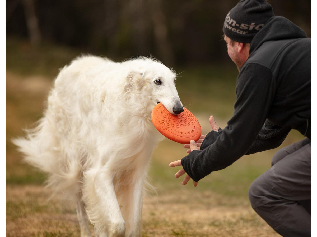 Non-stop dogwear Dog flying disc frisbee – Oransje/svart