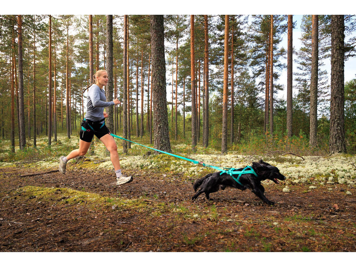 Non-stop dogwear Freemotion harness 5.0 trekksele – Aqua/rosa