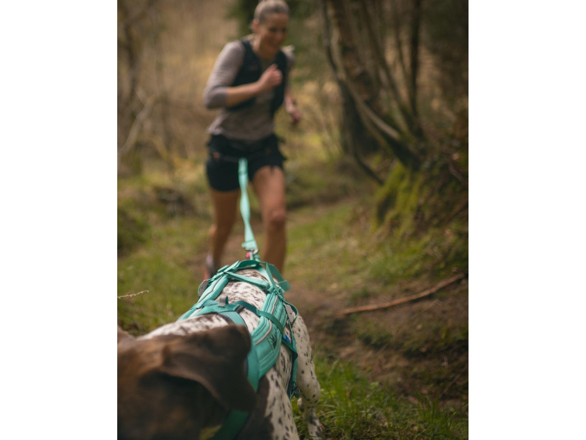 Non-stop dogwear Freemotion harness 5.0 trekksele – Aqua/rosa