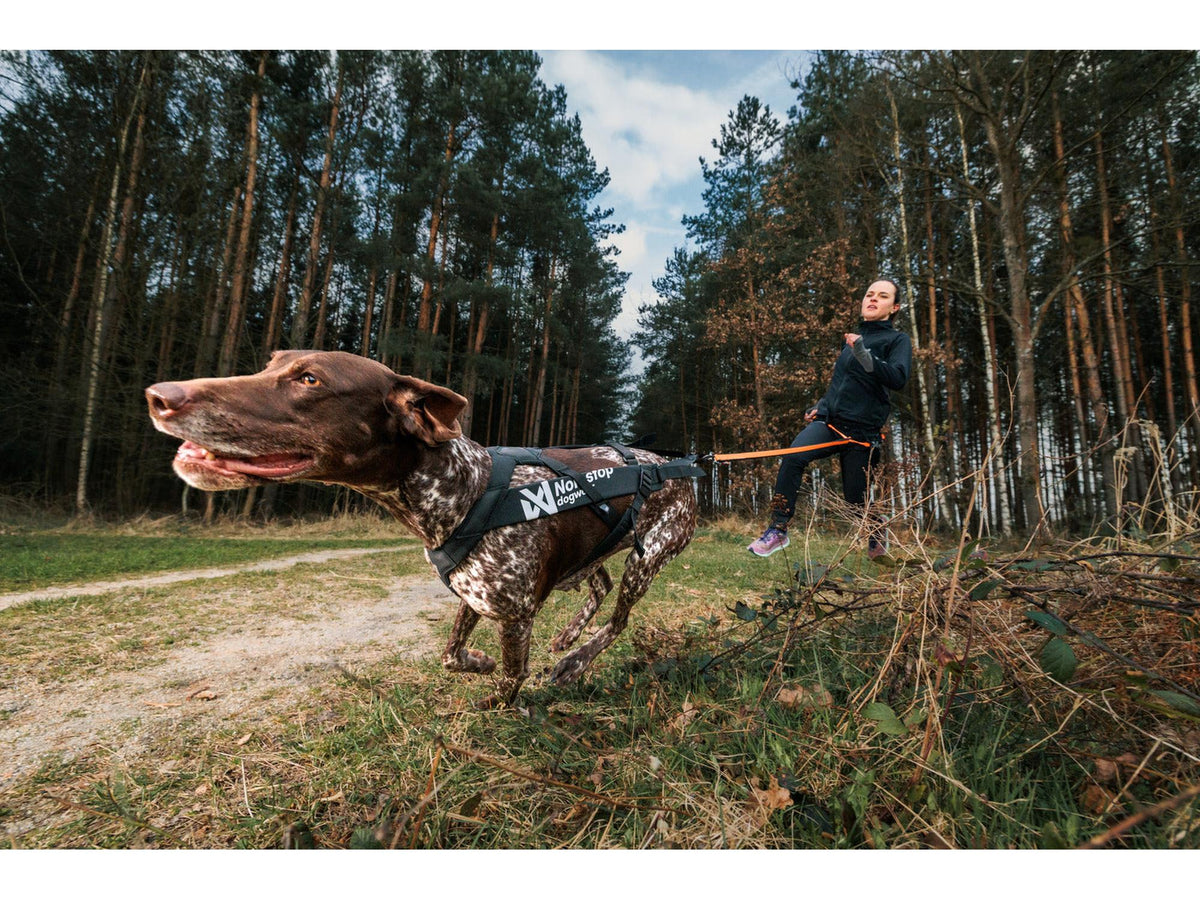 Non-stop dogwear Freemotion harness pro trekksele – Svart