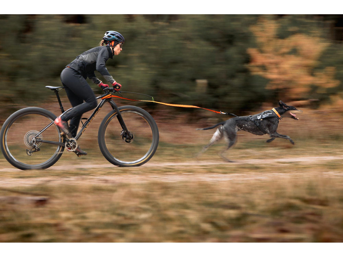 Non-stop dogwear Freemotion harness pro trekksele – Svart