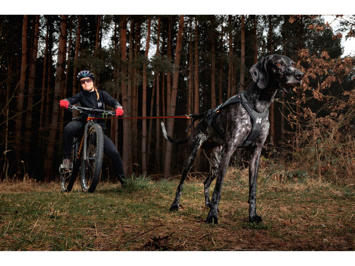 Non-stop dogwear Freemotion harness pro trekksele – Svart