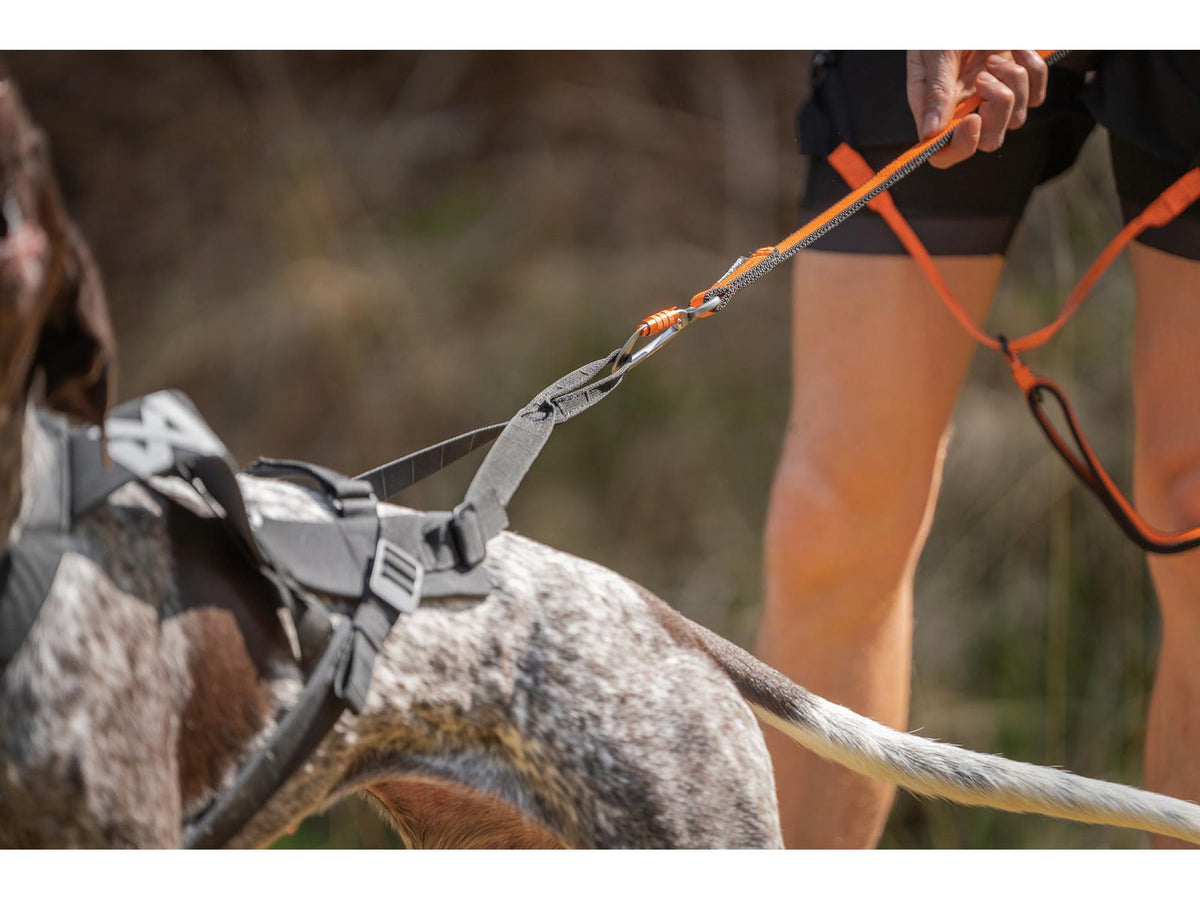 Non-stop dogwear Freemotion harness pro trekksele – Svart