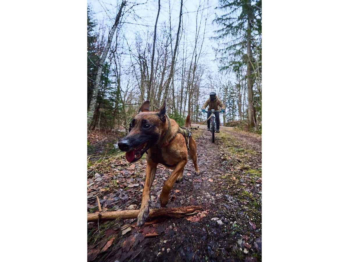 Non-stop dogwear Freemotion harness WD trekksele – Oliven