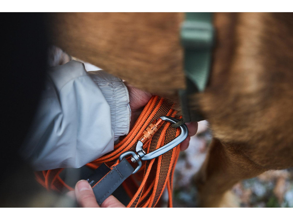 Non-stop dogwear Friction long line langline – Oransje
