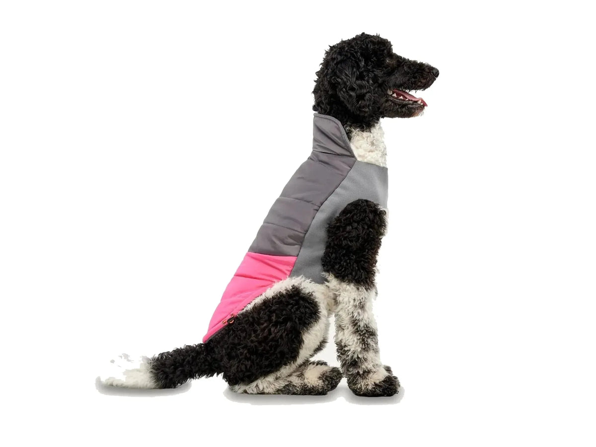 GF Pet Mock Neck Signature Jacket fuchsia grå