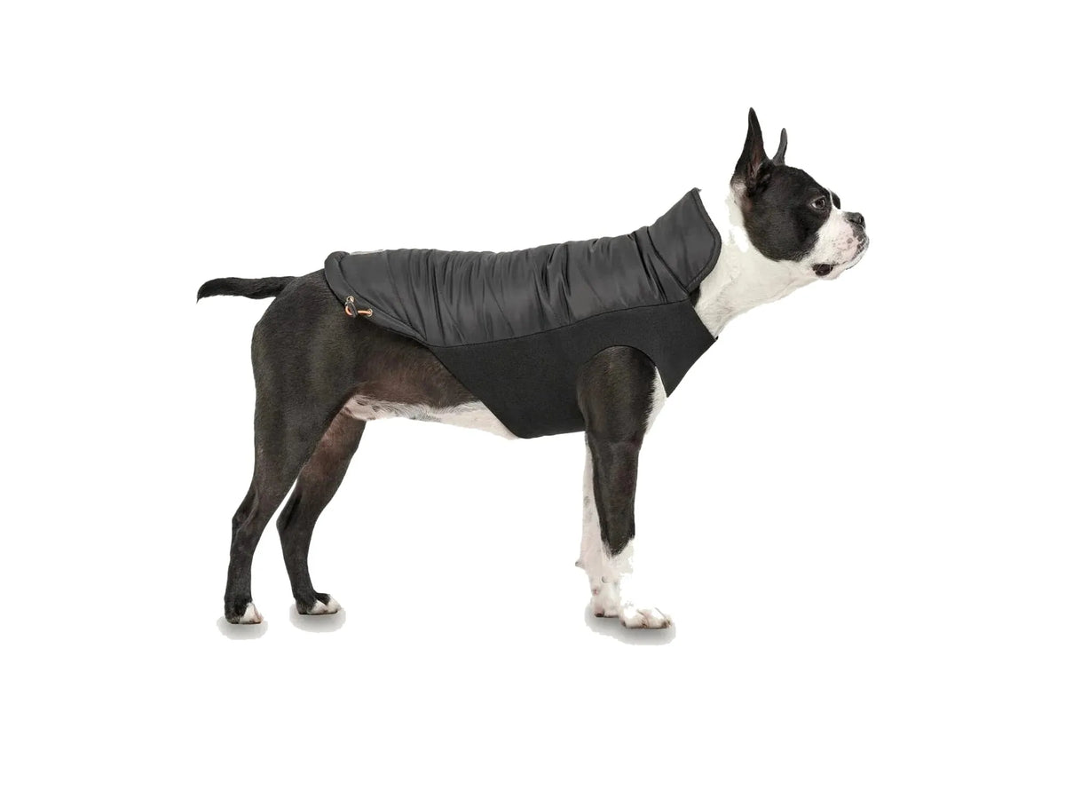 GF Pet Mock Neck Signature Jacket sort