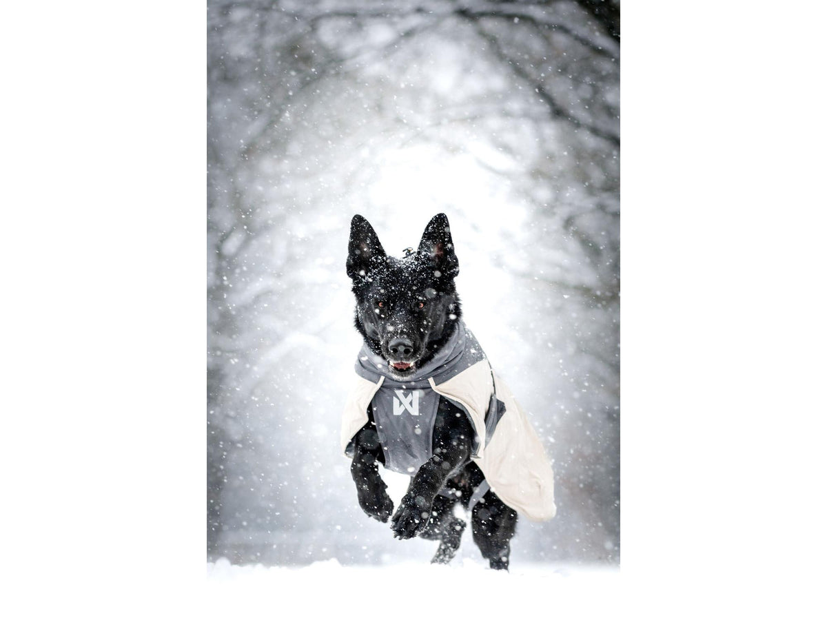 Non-stop dogwear Glacier wool jacket 3.0 ulldekken – Grå