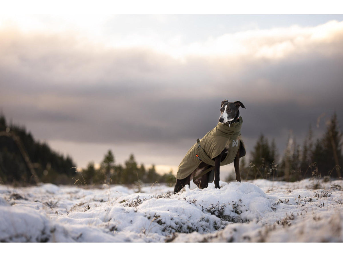 Non-stop dogwear Glacier wool jacket 3.0 ulldekken – Grønn