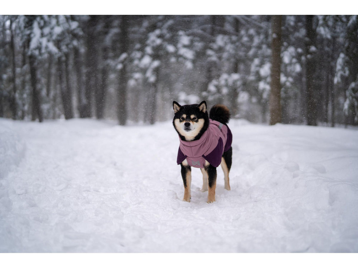 Non-stop dogwear Glacier jacket 3.0 vinterjakke – Teal – modellen vist i annen farge