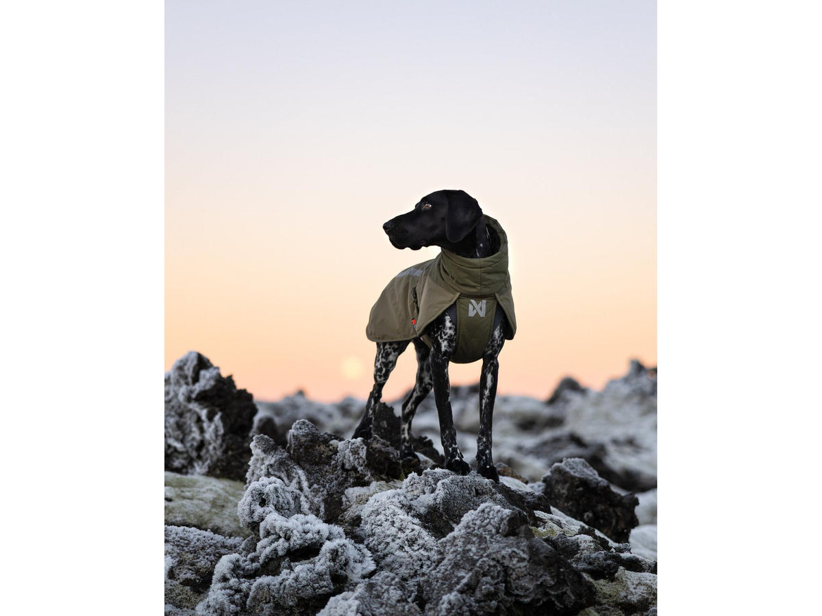 Non-stop dogwear Glacier wool jacket 3.0 ulldekken – Grønn
