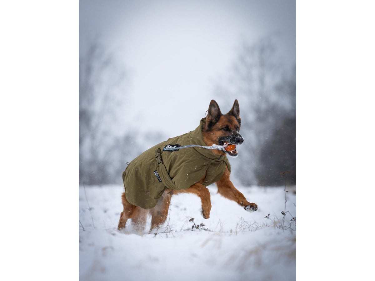 Non-stop dogwear Glacier dog jacket WD varmedekken – Oliven