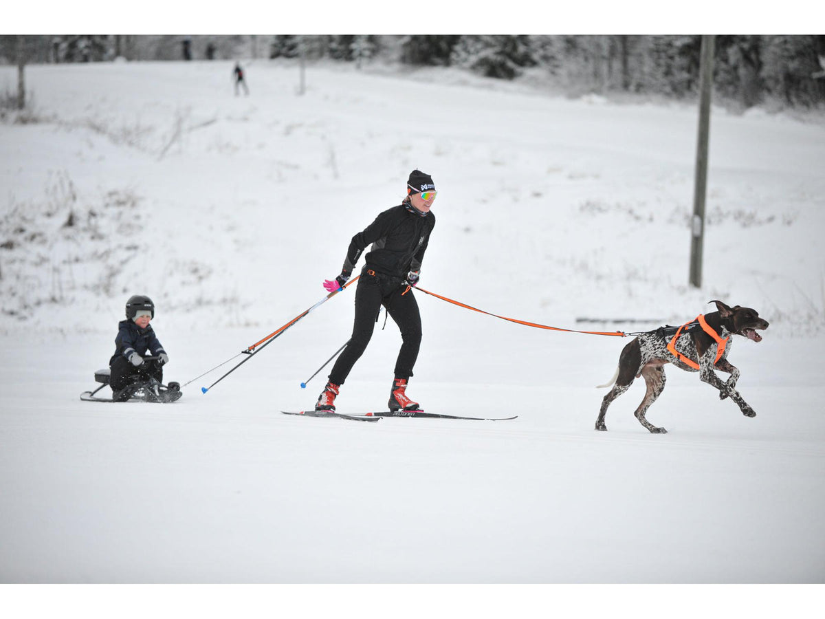 Non-stop dogwear Løype belt pro skibelte – Svart