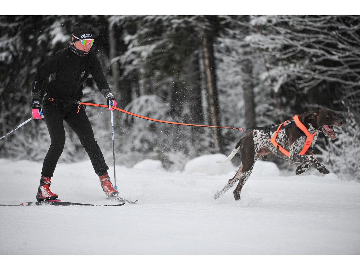 Non-stop dogwear Løype belt pro skibelte – Svart