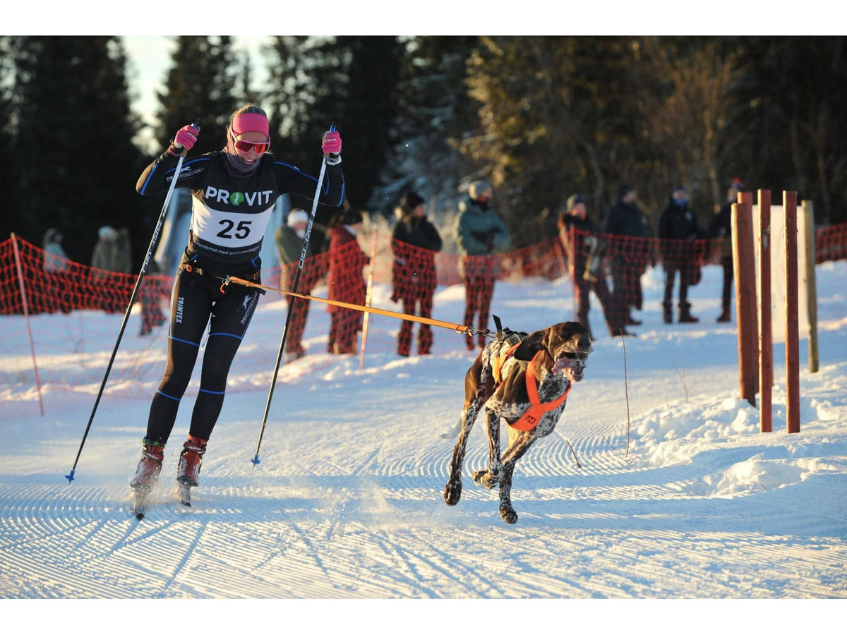 Non-stop dogwear Løype belt pro skibelte – Svart